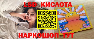 тгк Гай