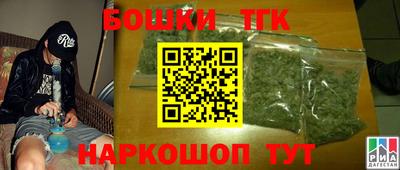 тгк Гай