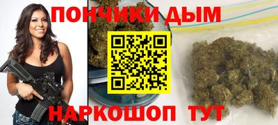 тгк Гай
