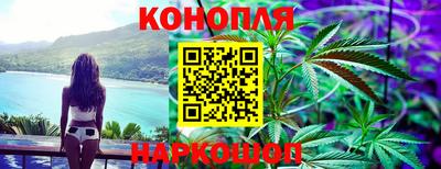 тгк Гай