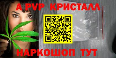 тгк Гай