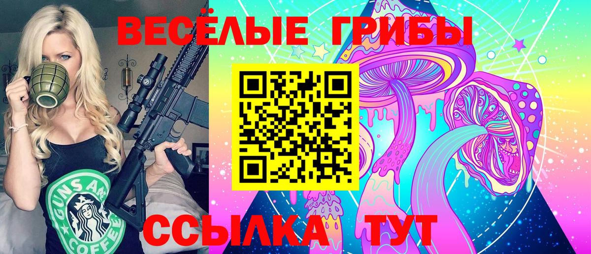 Псилоцибиновые грибы Cubensis Дюртюли