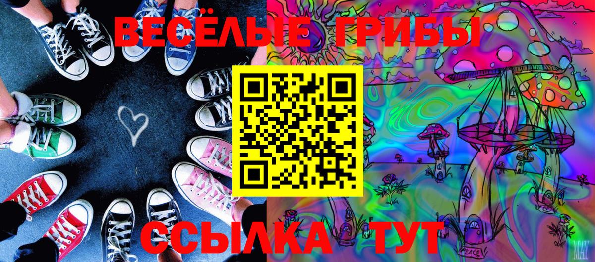 Дюртюли  Галлюциногенные грибы Psilocybine cubensis  Галлюциногенные грибы мицелий  Вход с VPN 